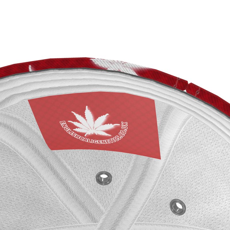 BLOOD FROSTED ICED DIAMOND Cap