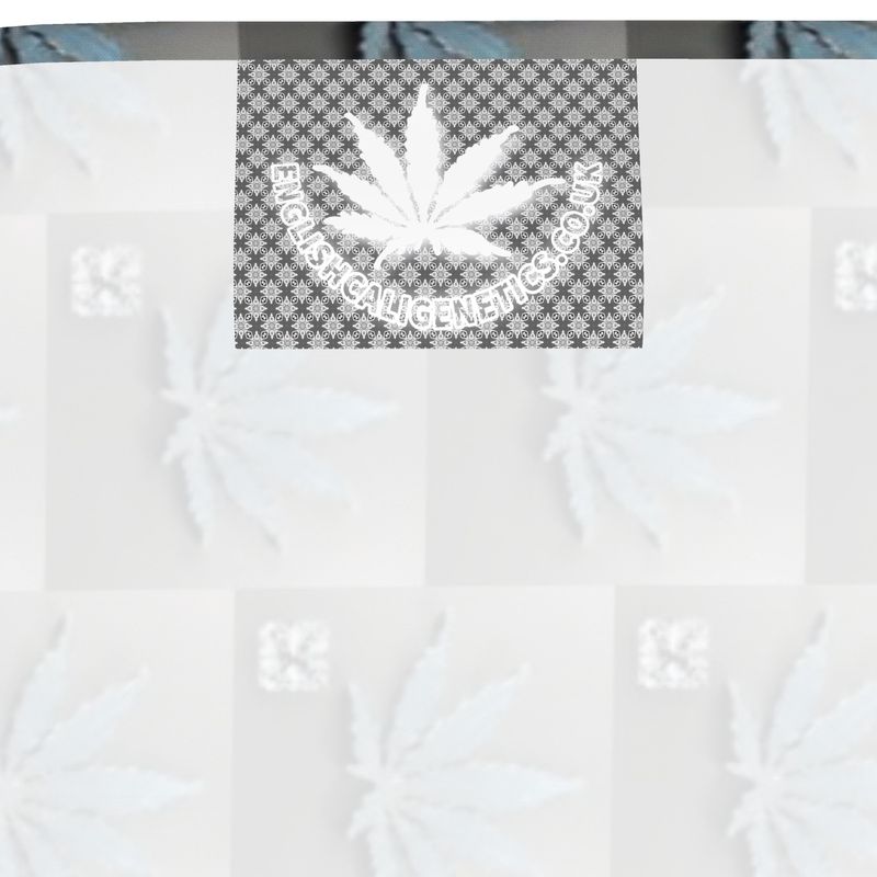 RICHEST RICH Bandana