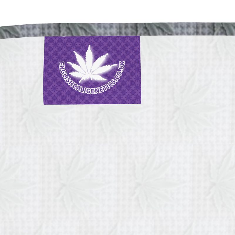 5D CASH OUT VAULT Infinite Universe Bandana