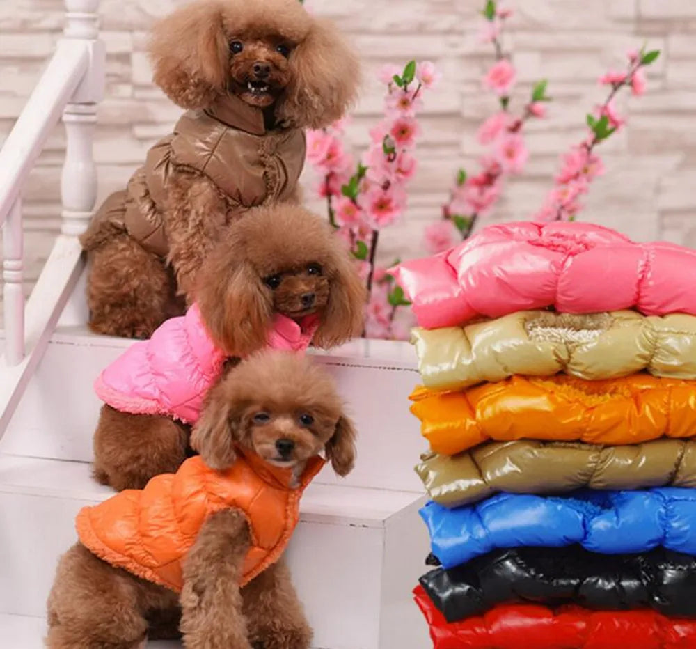 Winter Pet Dog Down Coat Fleece Warm Inside Candy Color Pet Down Warm Coat Puppy Down Clothes Winter Clothes Clothing XS-3XL