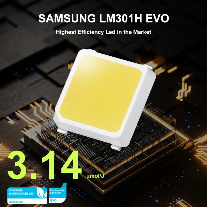 Hf3602cd3f71a401dae1fe901e10c3a35y.jpg