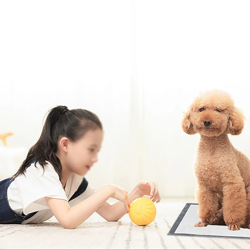 100/50/40/20PCS Absorbent Dogs Diapers Disposable Puppy Training Pee Pads Quick Dry Surface Mat Clean Cushion Dog Supplies