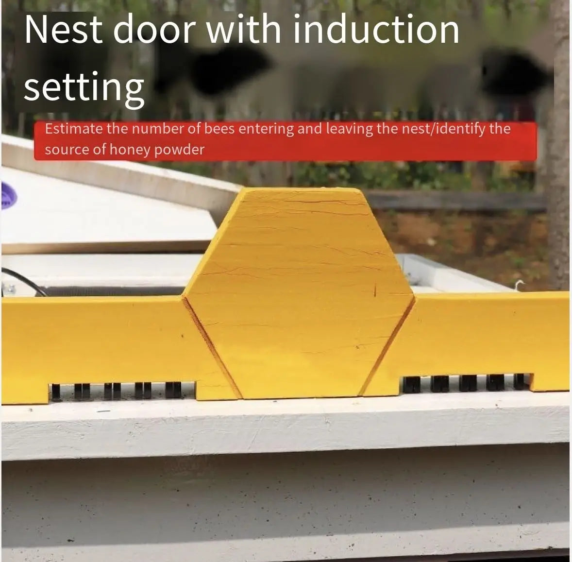 Automatic Self-Flowing Bee Hive Apiculture Beekeeping Beehive Bee Hive Ten Boxes Standard Fully Automatic Intelligence