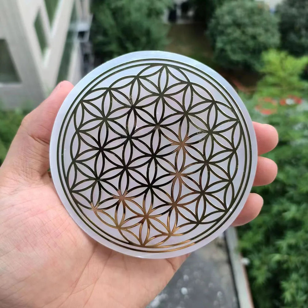 47995369226587|47995369259355|47995369292123