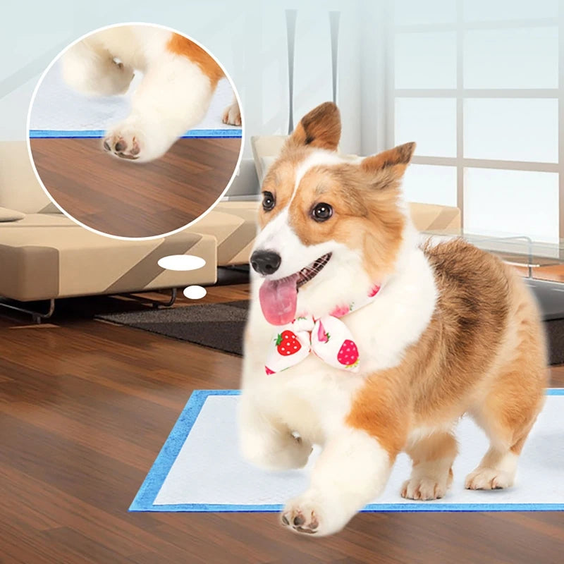 100/50/40/20PCS Absorbent Dogs Diapers Disposable Puppy Training Pee Pads Quick Dry Surface Mat Clean Cushion Dog Supplies