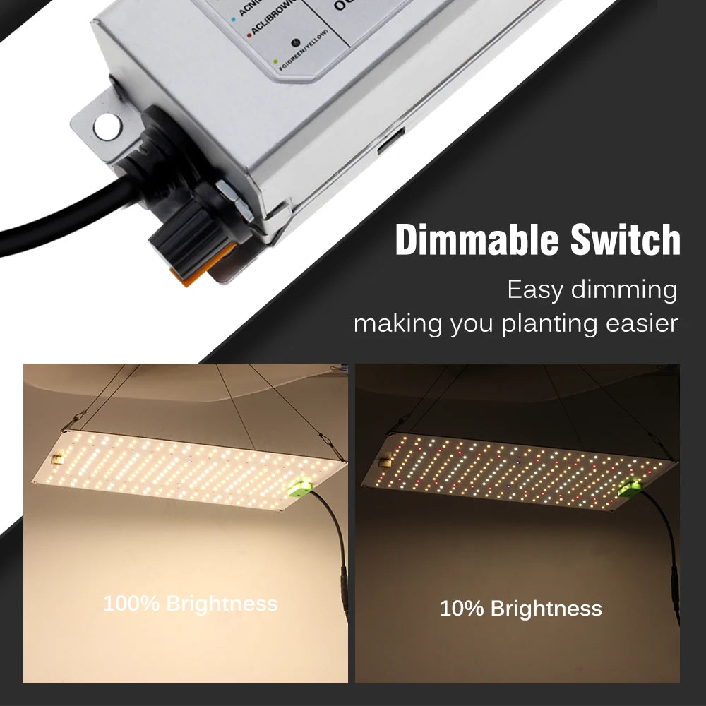 1000W Full Spectrum LED Grow Light Quantum Sunlike Grow Lamp LM281B For Greenhouse Plant Growth Lighting Dimmable