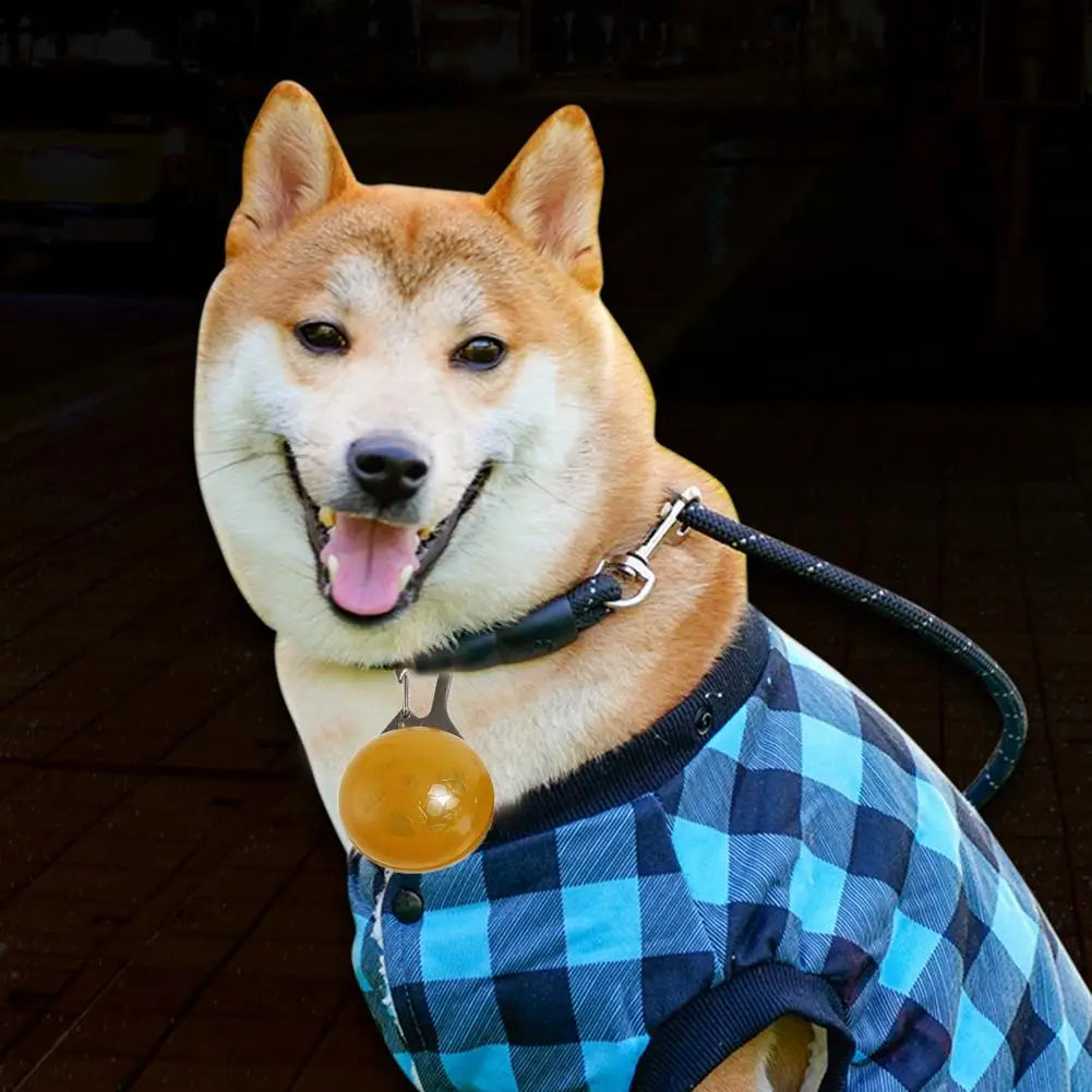 LED Luminous Dog Cat Collar Glowing Pendant Flash Lights Pet Leads Accessories Night Walking Pet Collar Supplies Pet Accessorie