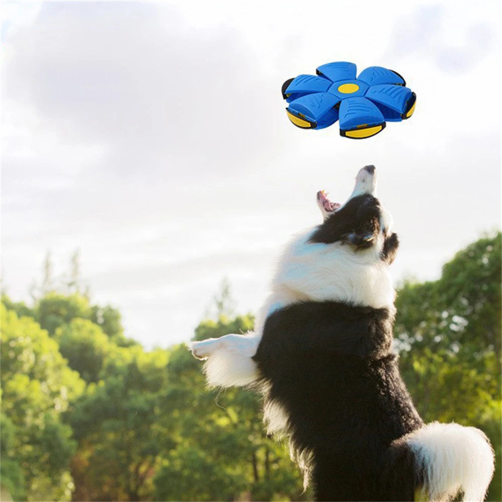 Interactive Flying Saucer Ball Outdoor Magic Durable Soft Rubber Funny Pet Dog Toy Flying Saucer Ball Interactive Throwing Ball