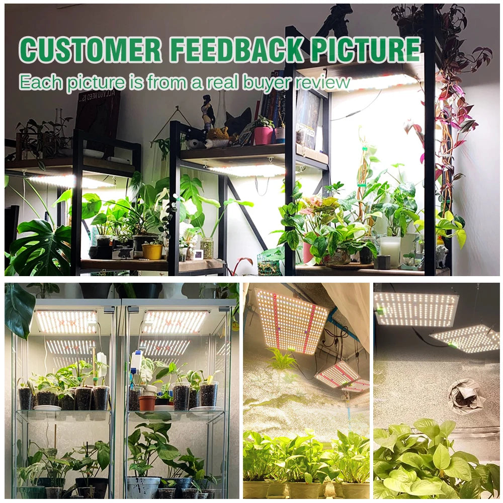 1000W Full Spectrum LED Grow Light Quantum Sunlike Grow Lamp LM281B For Greenhouse Plant Growth Lighting Dimmable