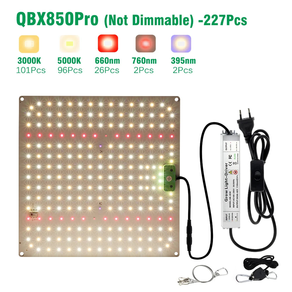 47995340849499|47995340882267|47995340915035|47995340947803|47995340980571|47995341013339|47995341046107|47995341078875|47995341308251|47995341341019