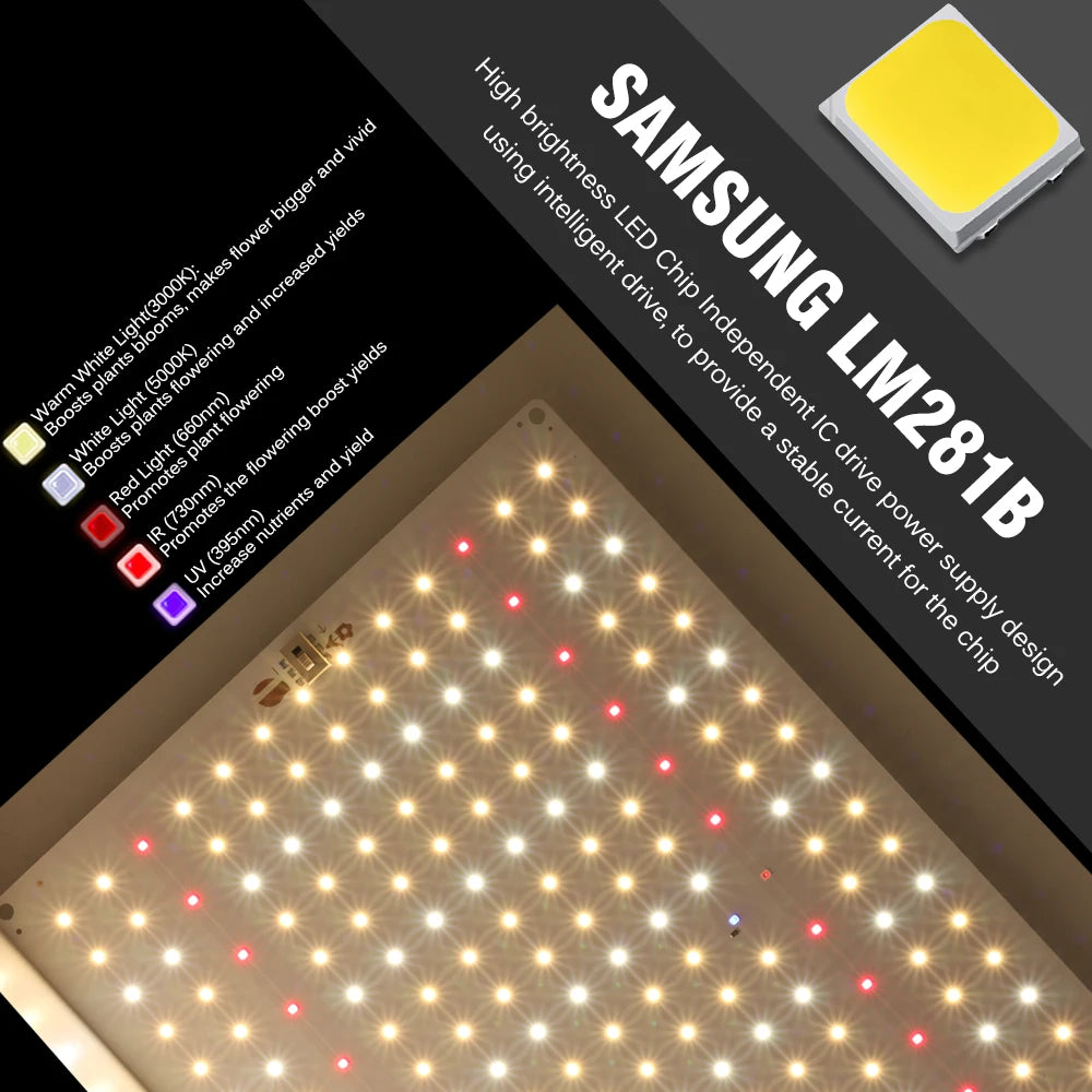 1000W Full Spectrum LED Grow Light Quantum Sunlike Grow Lamp LM281B For Greenhouse Plant Growth Lighting Dimmable