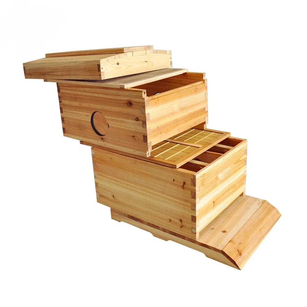 Golden Palace Automatic Flows hive 2 Beehive 7pcs Super Box Free Flows Frame