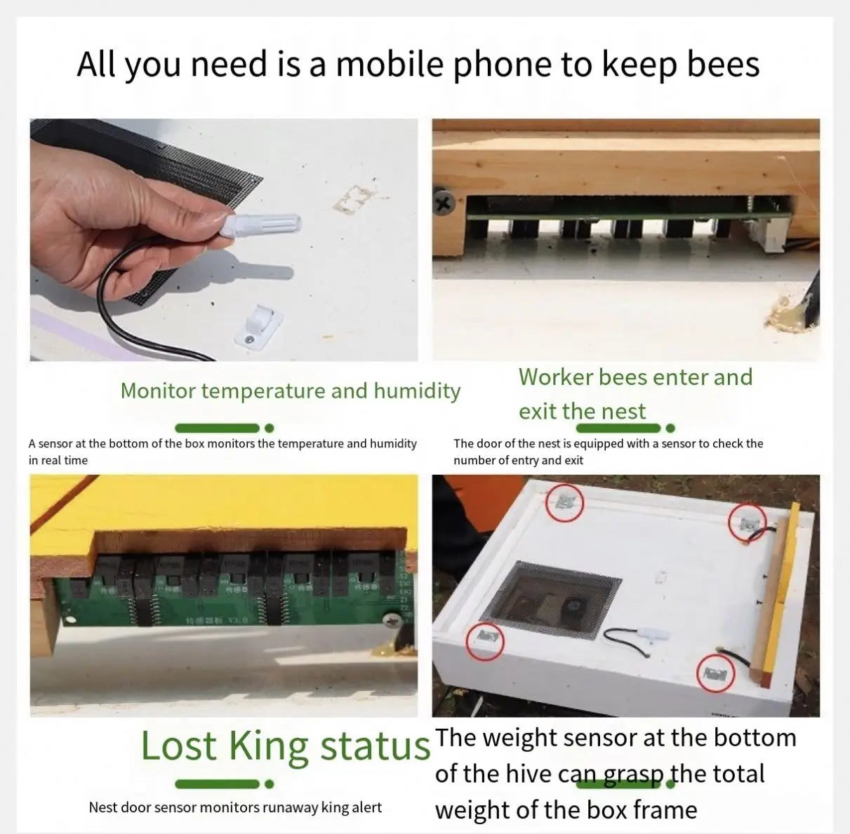 Automatic Self-Flowing Bee Hive Apiculture Beekeeping Beehive Bee Hive Ten Boxes Standard Fully Automatic Intelligence
