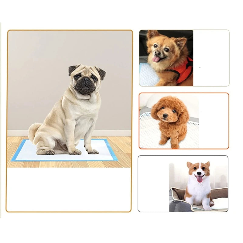 100/50/40/20PCS Absorbent Dogs Diapers Disposable Puppy Training Pee Pads Quick Dry Surface Mat Clean Cushion Dog Supplies
