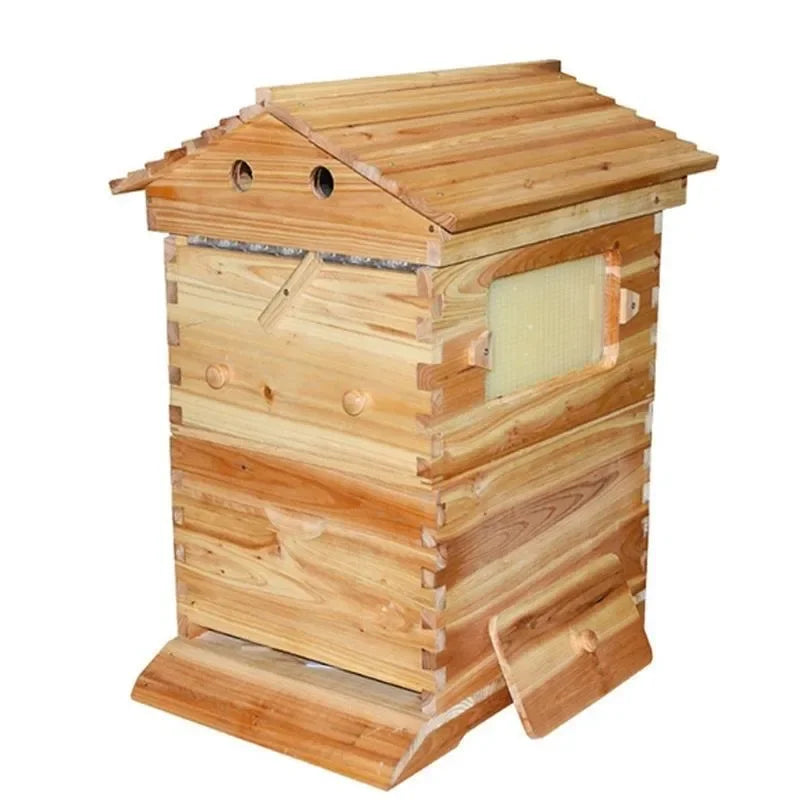Automatic Flow Beehive Automatic Flow Honey Honeycomb Plastic Honeycomb Honeycomb Outlet Hive