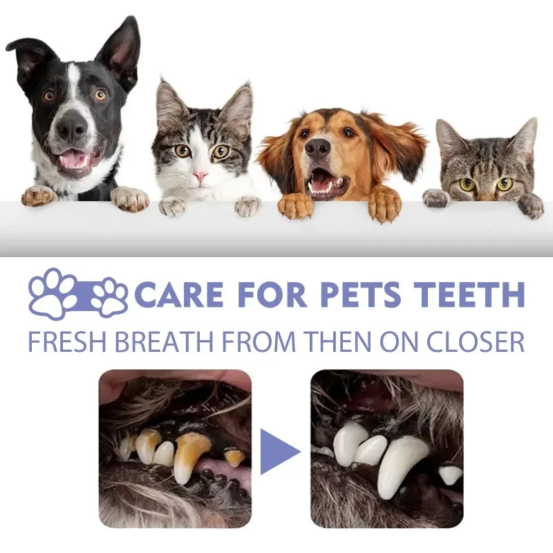 3pcs Dog tooth Sprays Remove tooth stains and bad breath for cats and dogs Fresh pet oral Care dental spray deodorant