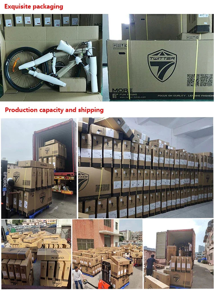 TWITTER T3 TT Timing Triathlon Carbon Fiber Bike eTap AXS-24S Hydraulic Oil Disc Brake Fully Hidden Internal Wiring T900 bicycle