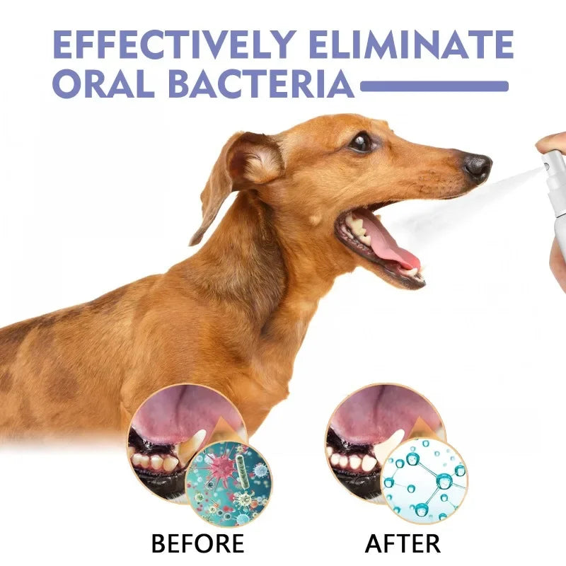 3pcs Dog tooth Sprays Remove tooth stains and bad breath for cats and dogs Fresh pet oral Care dental spray deodorant