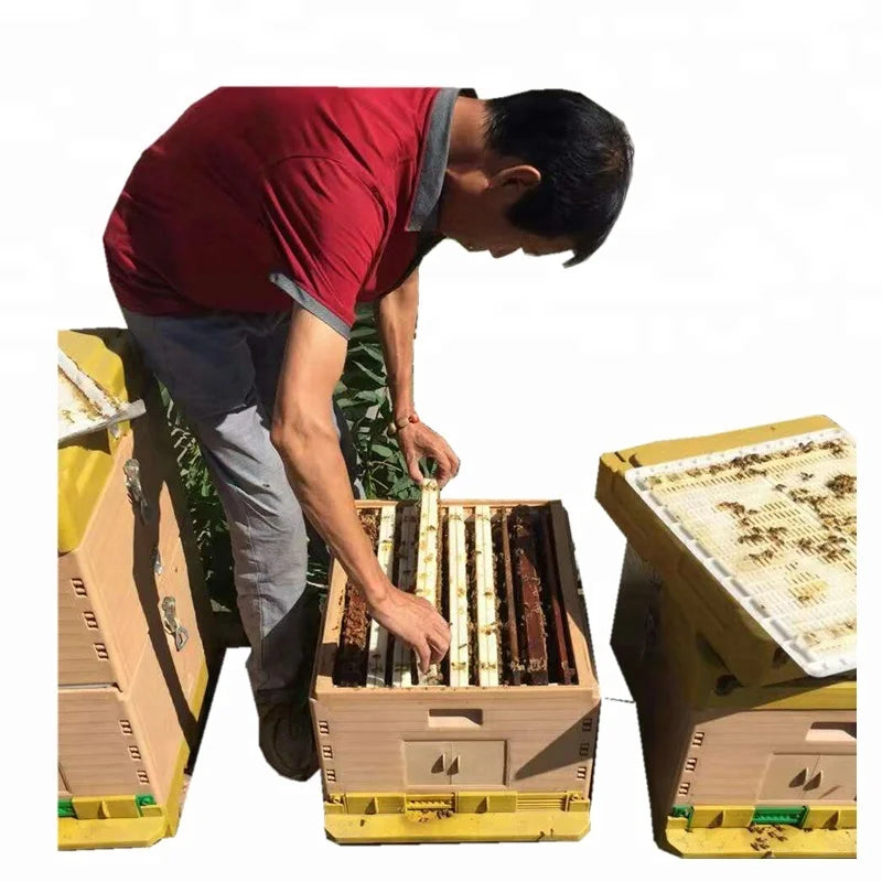 Beehive plastic beehive machine,Beehive Bee hive for Beekeeping