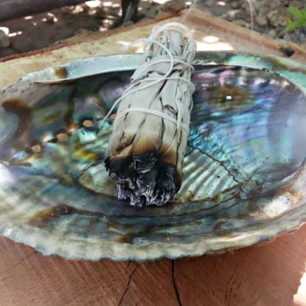 1-10PCS Natural White Sage Bundle Smudge Sticks California Pure Leaf for Spiritual Home Cleaning Sage Incense Aromatherapy