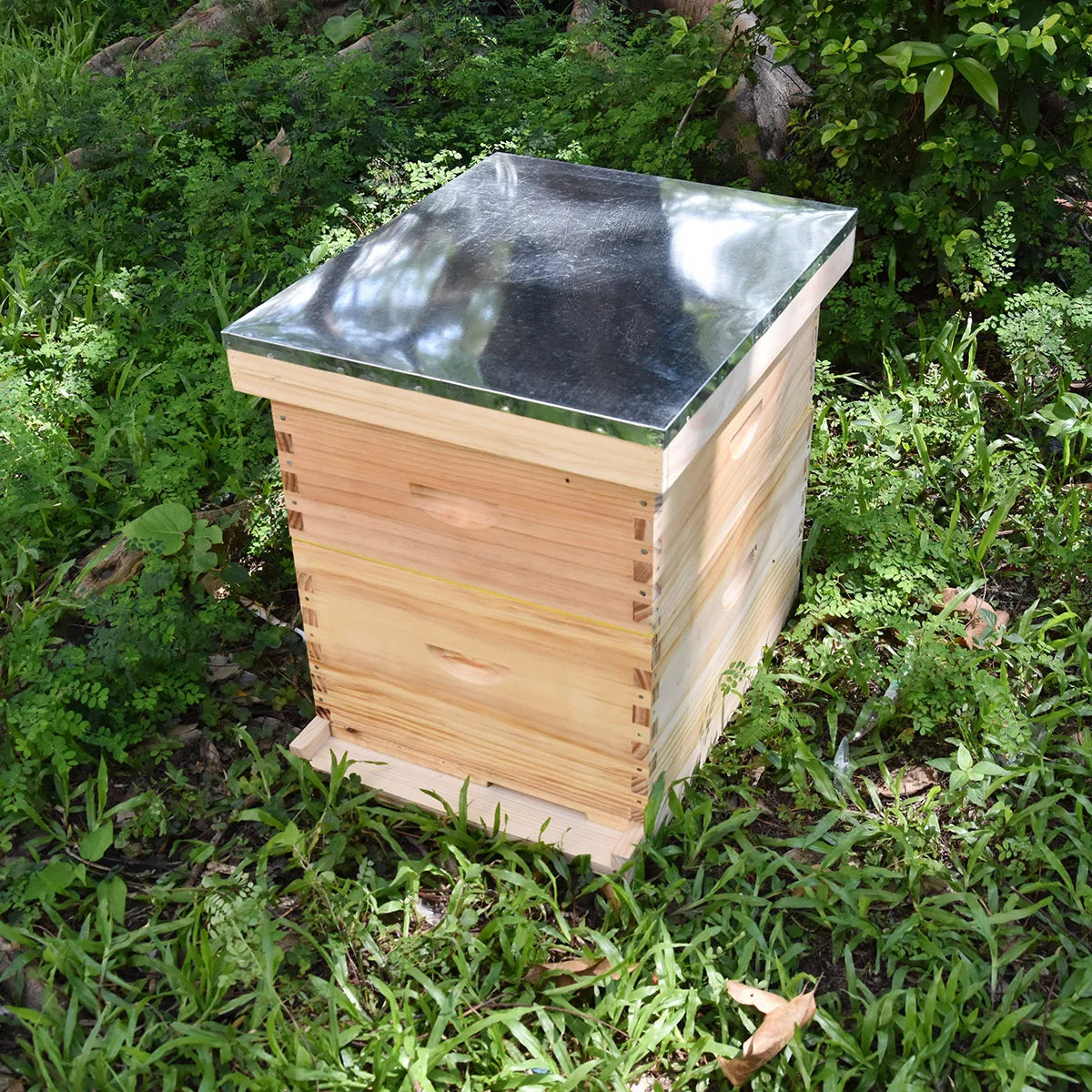 Beekeeping equipment wood Bee hive 10 frames Beehive Box Kit