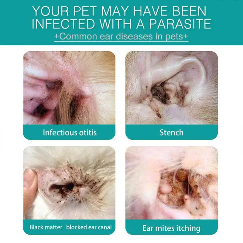 Cat Ear Wipes 50pcs Pet Teeth Cleaning Finger Cots Pet Grooming Supplies To Remove Ear Wax And Dirt Stop Smelly Itchy Ear