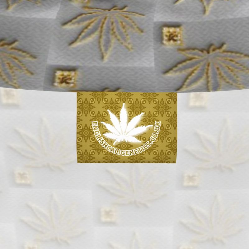 FROSTED GOLD GOLD DIAMOND Infinite Universe Long-Sleeve
