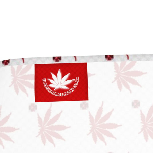 BLOOD FROST RUBY DIAMOND Infinite Universe Bandana