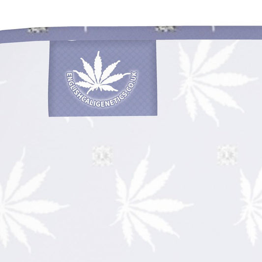 TRUE PURPLE Infinite Universe Bandana