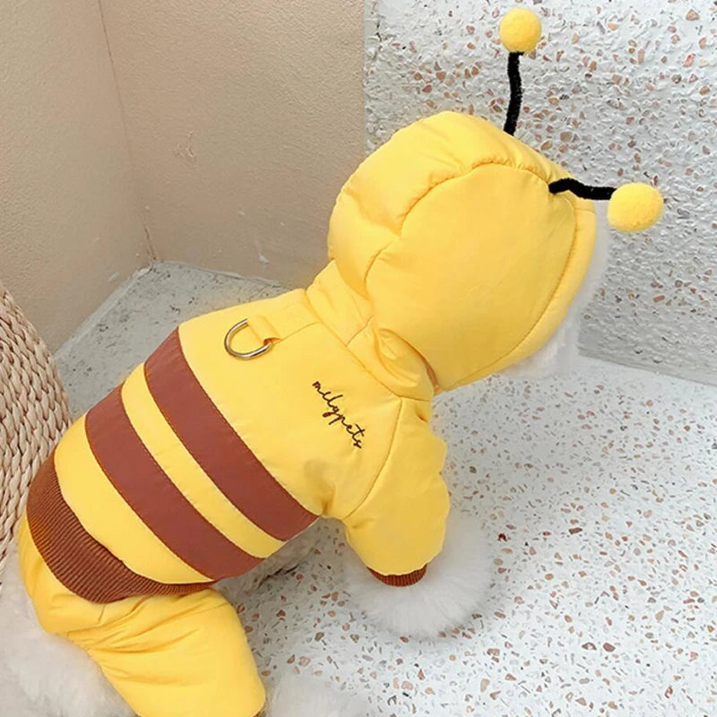 49215595512155|49215595643227|49215595708763|49215595741531|49215595839835|49215595905371