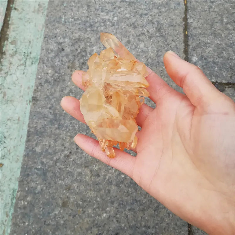 HTB1_m.xbcfrK1RkSmLyq6xGApXa6.jpg