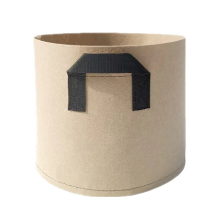 Hce47a6ccde3a4595a5ada13cf0894837M.png