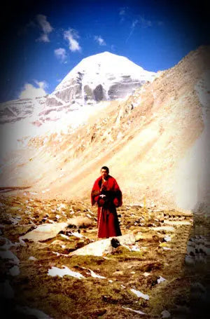 16 Chinese Brass Copper Evil Lion Head Mask Wall Hang Family Decor Art Sculpture statues garden decoration