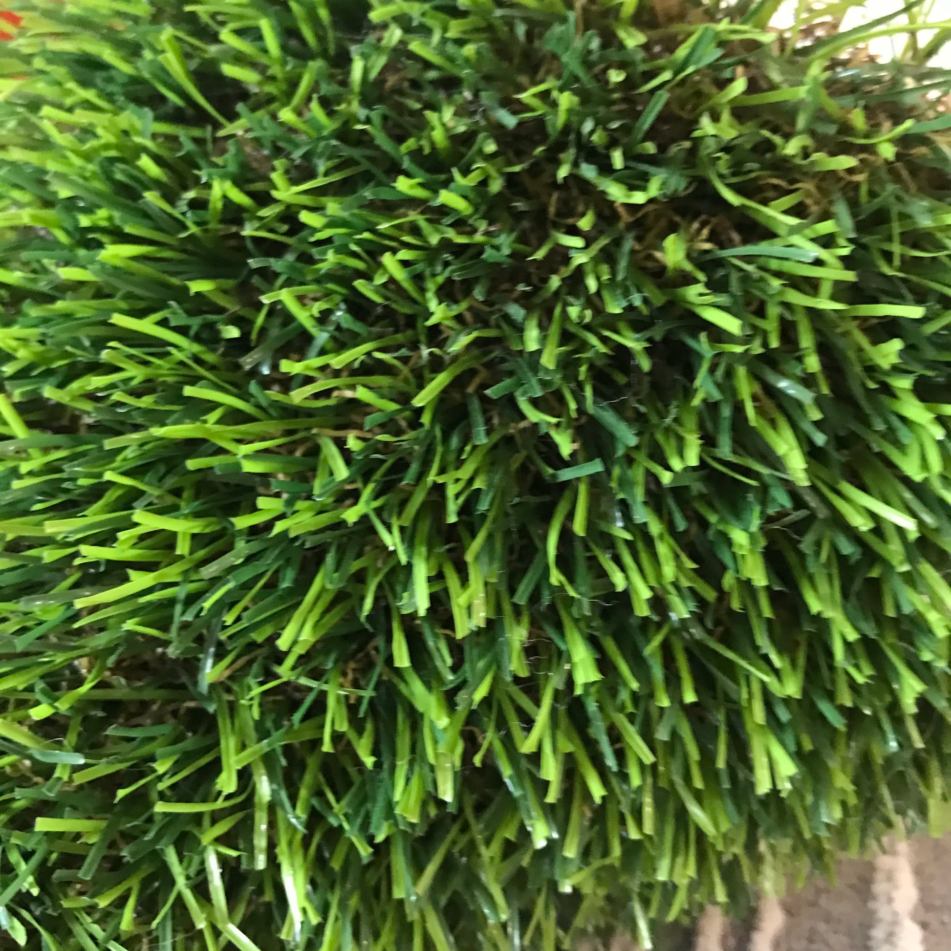 Hf718ff0d1cf5447c8299a7e2f54e77730.jpg