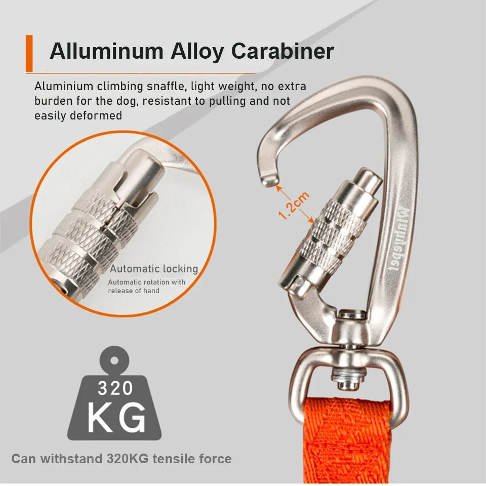 Winhyepet-Dog Leash with Soft Handle, Pet Pulling Rope, Resistant Chain for Puppy, Great Small Dog Accessories, YL1831