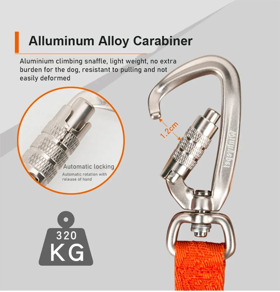 Winhyepet-Dog Leash with Soft Handle, Pet Pulling Rope, Resistant Chain for Puppy, Great Small Dog Accessories, YL1831