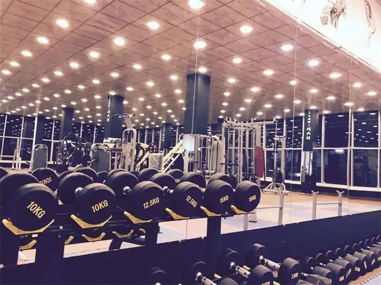 Weight 6 Pairs Dumbbell Rack G-649 Total Gym