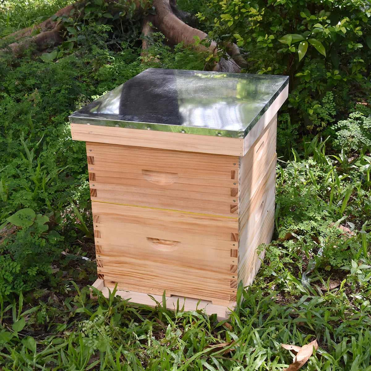 Beekeeping equipment wood Bee hive 10 frames Beehive Box Kit