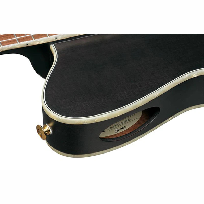 Ibanez TOD10N Tim Henson Signature Professional Classical Guitar with Fishman Sonicore Pickup
