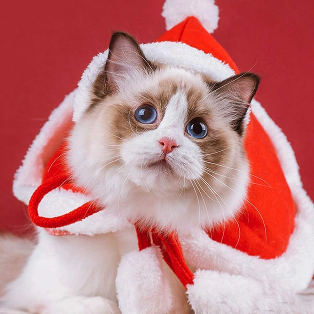 Winter Cat Costume Santa Cosplay Funny Transformed Cat Dog Pet Christmas Cape Dress Up Clothes Red Scarf Cloak Props Decoration