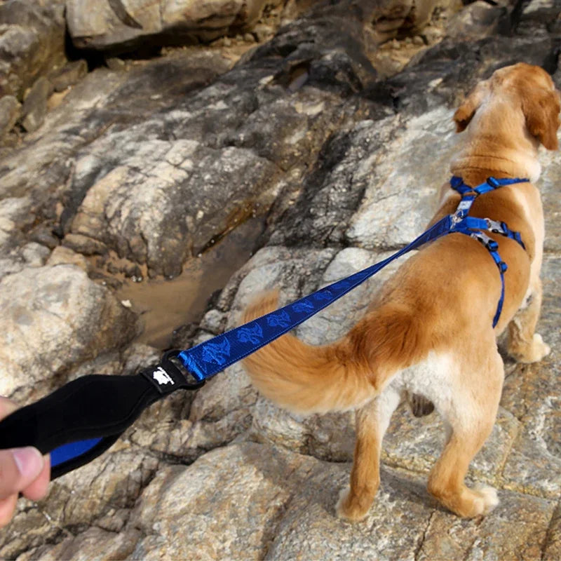Winhyepet-Dog Leash with Soft Handle, Pet Pulling Rope, Resistant Chain for Puppy, Great Small Dog Accessories, YL1831