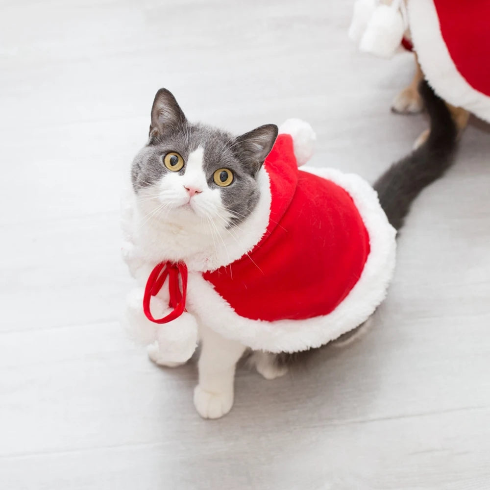 Winter Cat Costume Santa Cosplay Funny Transformed Cat Dog Pet Christmas Cape Dress Up Clothes Red Scarf Cloak Props Decoration