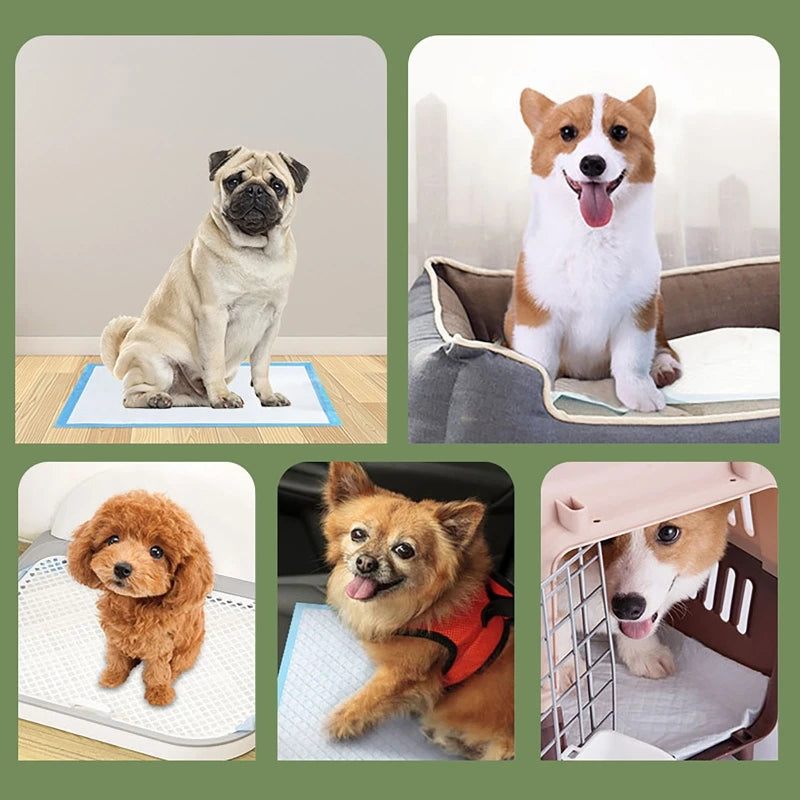 100/50/40/20PCS Absorbent Dogs Diapers Disposable Puppy Training Pee Pads Quick Dry Surface Mat Clean Cushion Dog Supplies