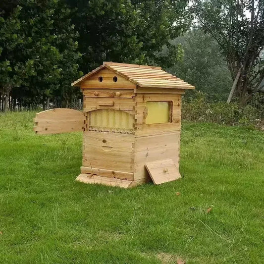 Automatic Flow Beehive Automatic Flow Honey Honeycomb Plastic Honeycomb Honeycomb Outlet Hive