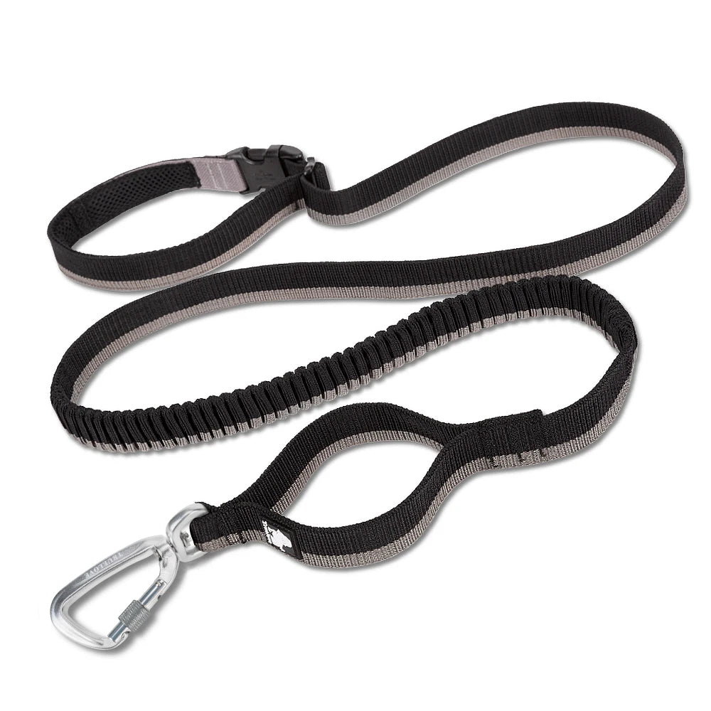 Truelove Dog Running Bungee Leash Hand-held Waistworn Adjustable Nylon Elastic Retractable Dog Leads for Running Jogging Walking