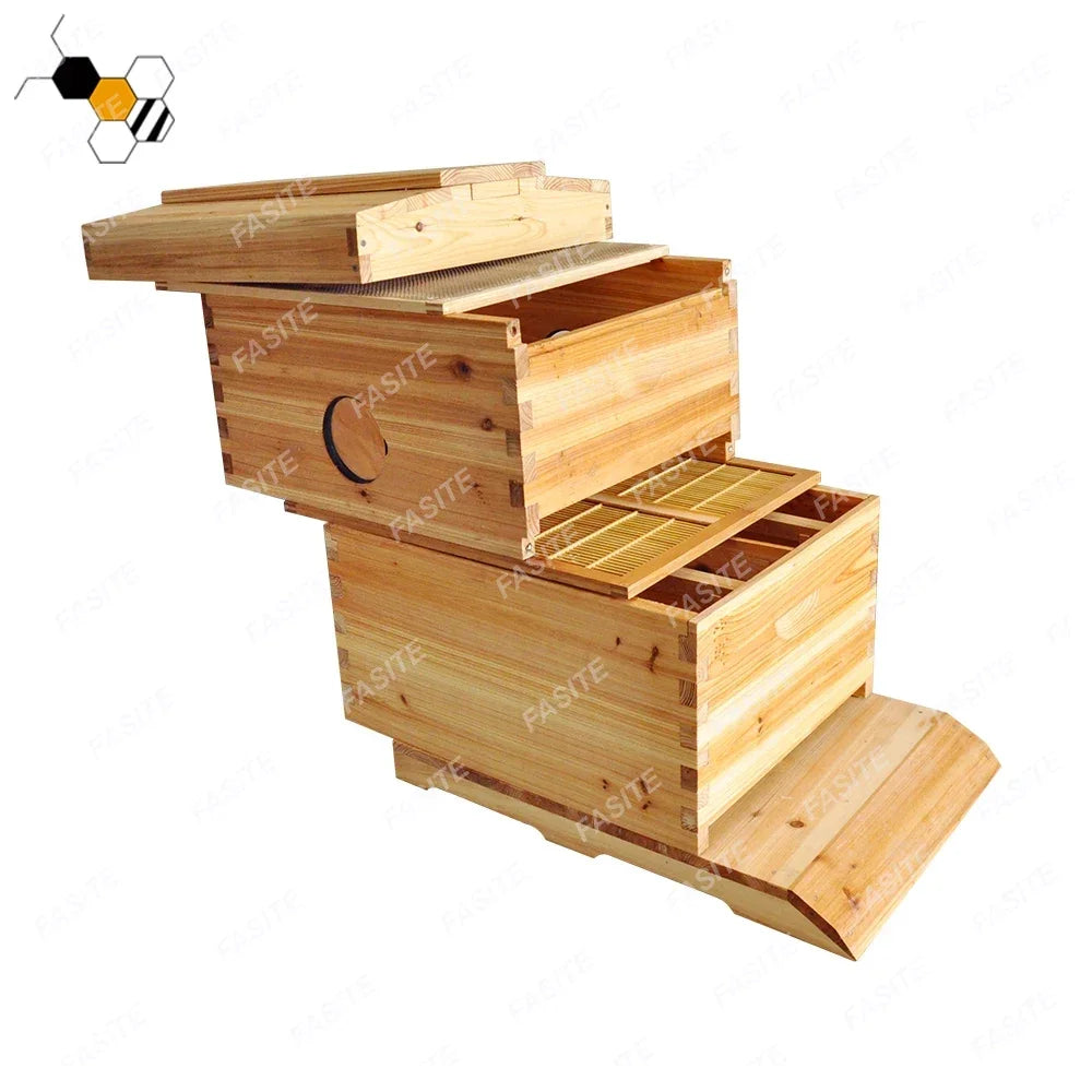 Golden Palace Automatic Flows hive 2 Beehive 7pcs Super Box Free Flows Frame
