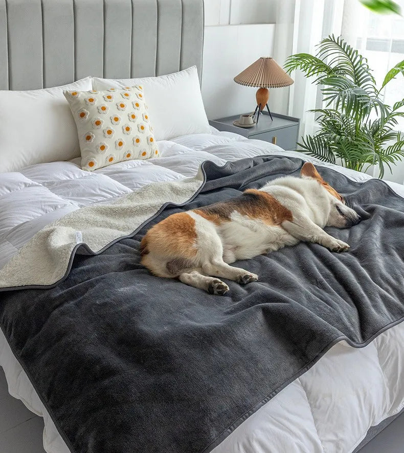 Waterproof Pet Blankets Soft Plush Throw Protects Couch Chairs Car Bed Machine Washable Dog Blanket