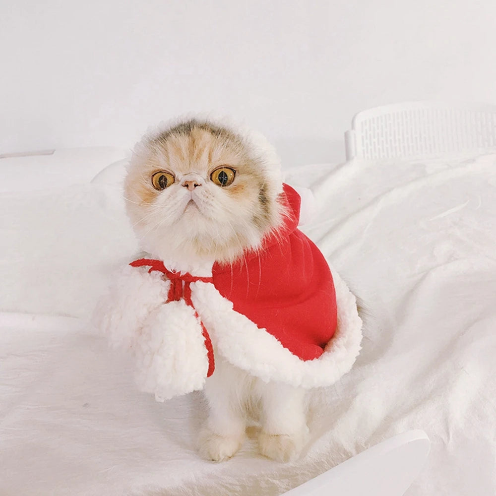 Winter Cat Costume Santa Cosplay Funny Transformed Cat Dog Pet Christmas Cape Dress Up Clothes Red Scarf Cloak Props Decoration