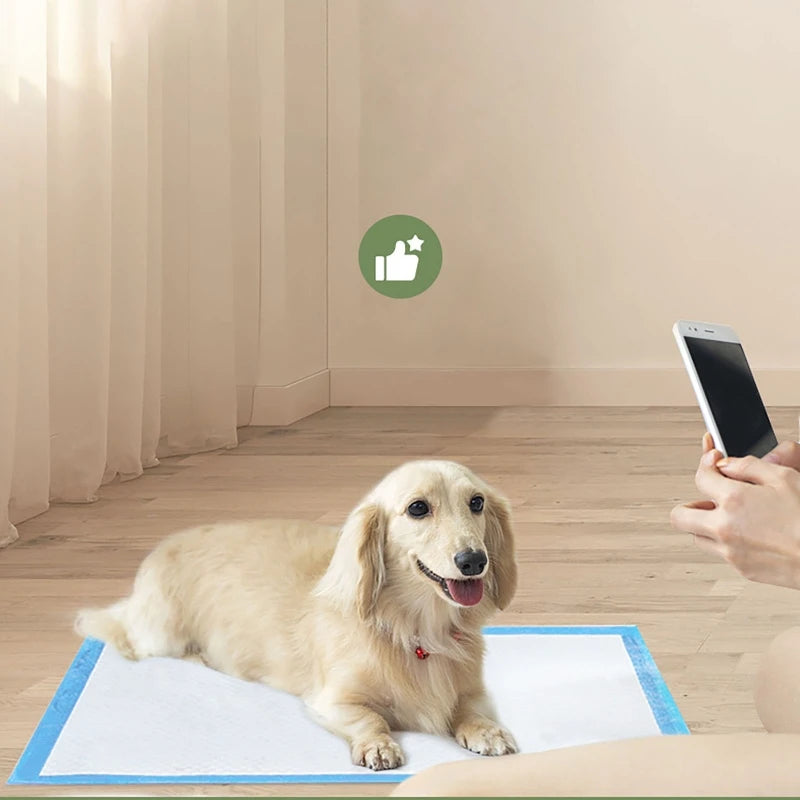 100/50/40/20PCS Absorbent Dogs Diapers Disposable Puppy Training Pee Pads Quick Dry Surface Mat Clean Cushion Dog Supplies