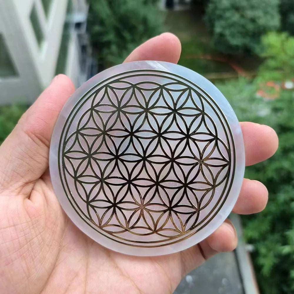 47995369128283|47995369161051|47995369193819